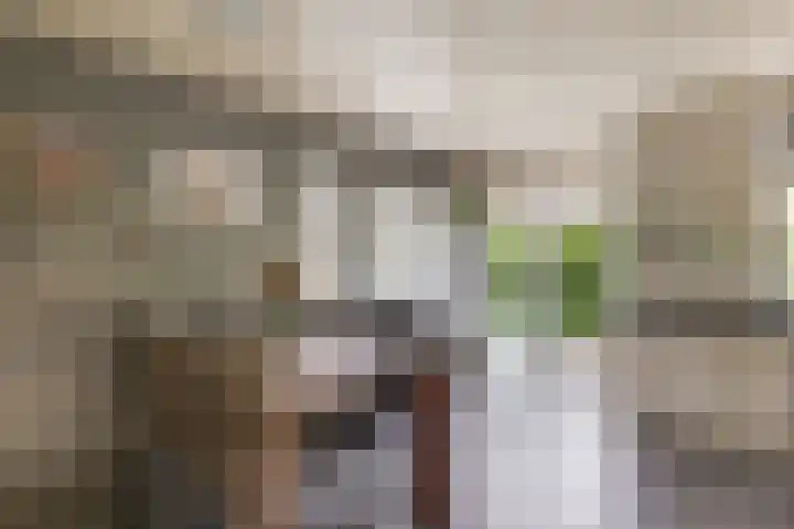 Wulpenhof 2 Schagen thumbnail 9