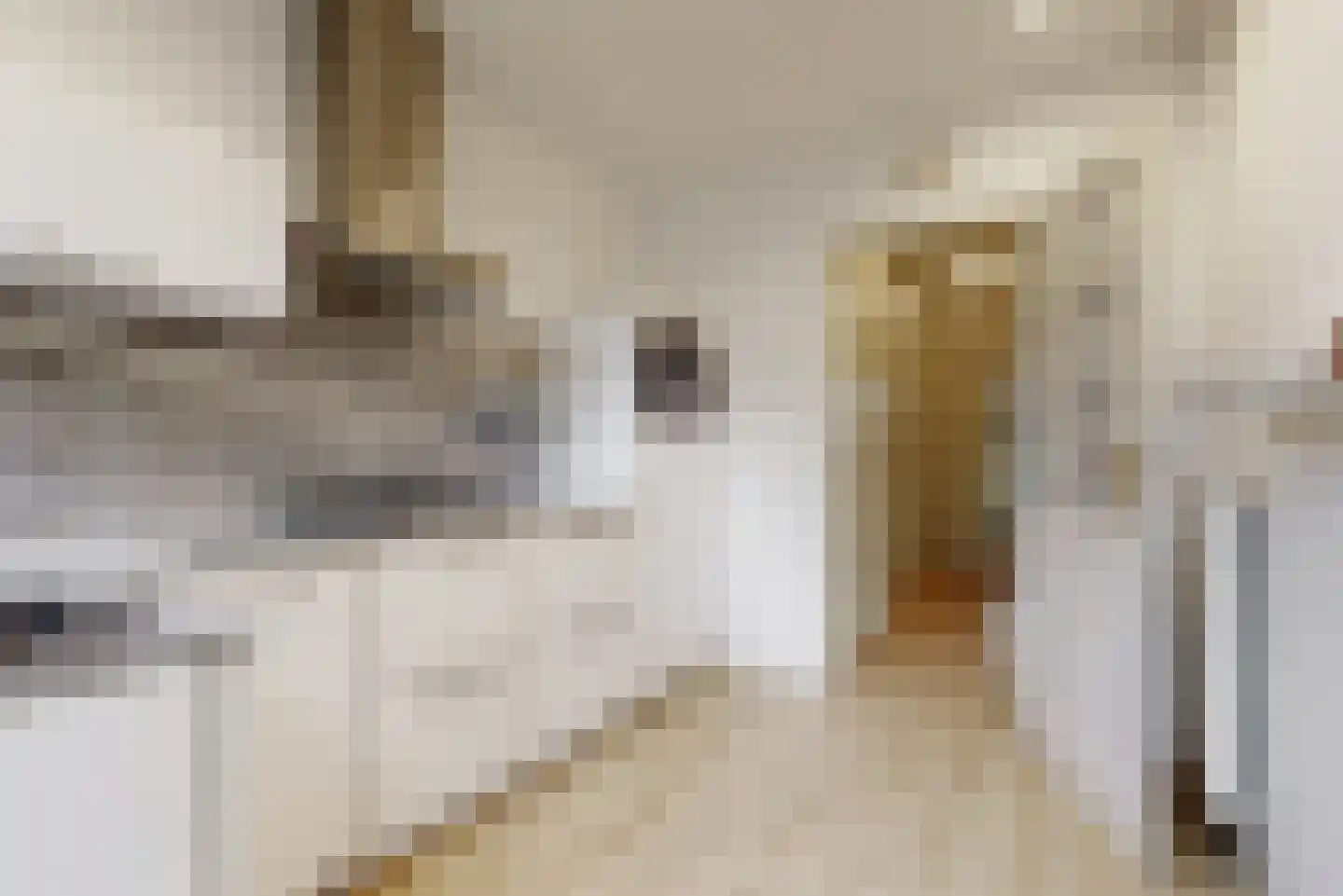 Wulpenlaan 1 Vinkeveen thumbnail 14