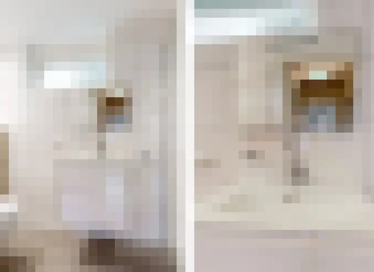 Wulpenlaan 1 Vinkeveen thumbnail 21