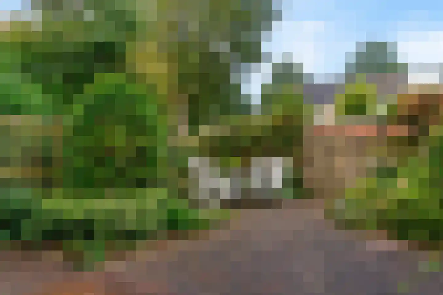 Wulpenlaan 1 Vinkeveen thumbnail 30