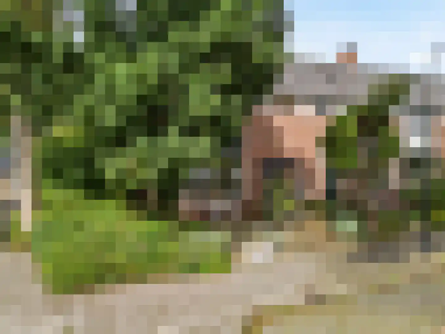Wulpenlaan 1 Vinkeveen thumbnail 32