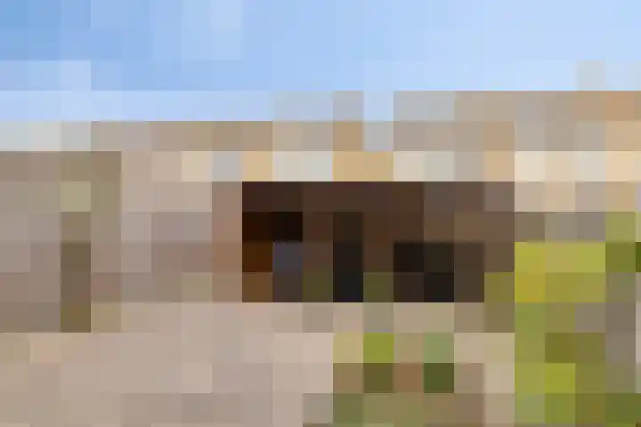 Wulpenlaan 12 Enkhuizen thumbnail 23