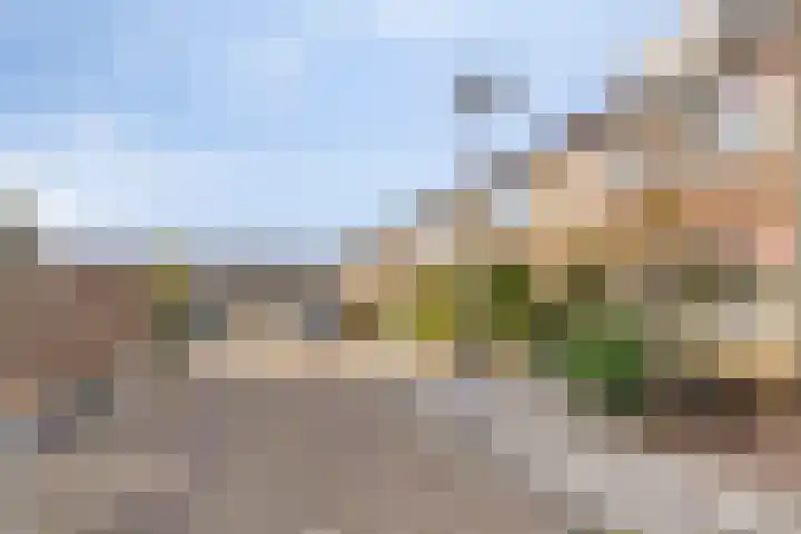 Wulpenlaan 12 Enkhuizen thumbnail 27