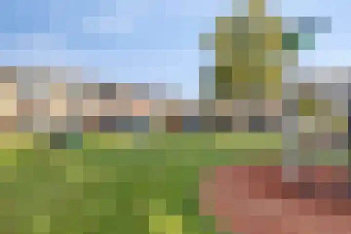 Wulpenlaan 12 Enkhuizen thumbnail 31