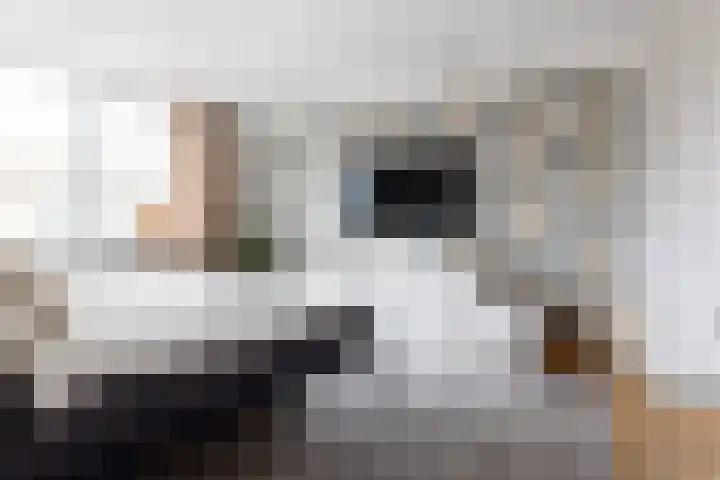 Wulpenlaan 24 Enkhuizen thumbnail 17