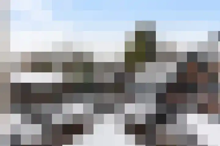 Wulpenlaan 38 Apeldoorn thumbnail 21