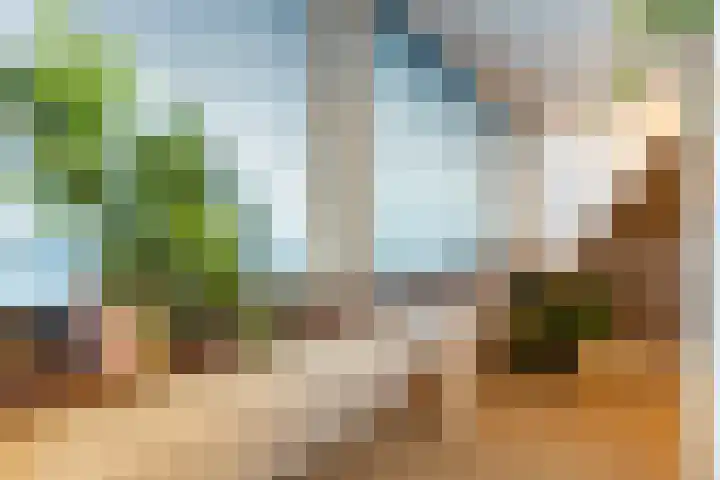 Wulpenlaan 38 Apeldoorn thumbnail 25
