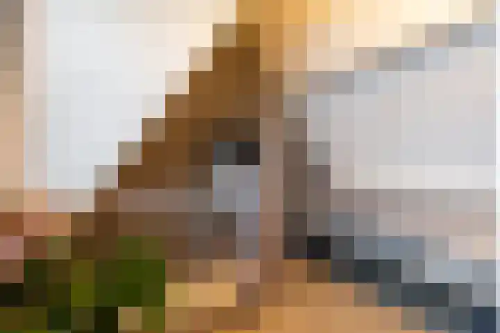 Wulpenlaan 38 Apeldoorn thumbnail 26