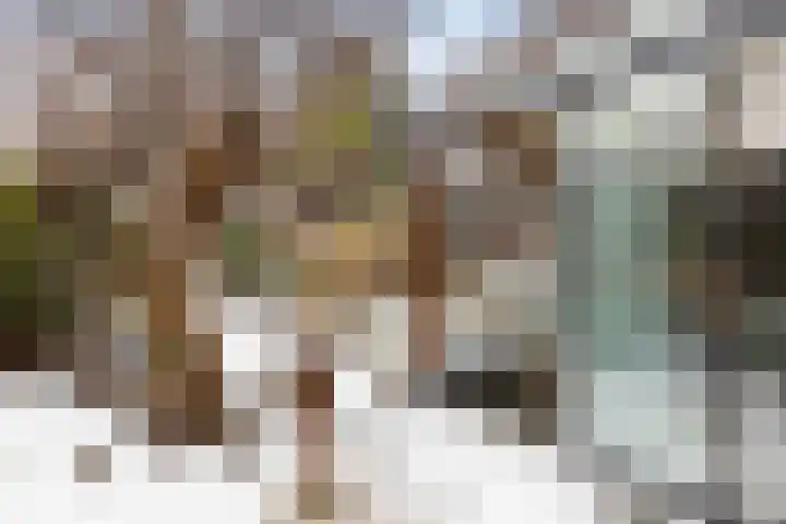 Wulpenlaan 38 Apeldoorn thumbnail 32
