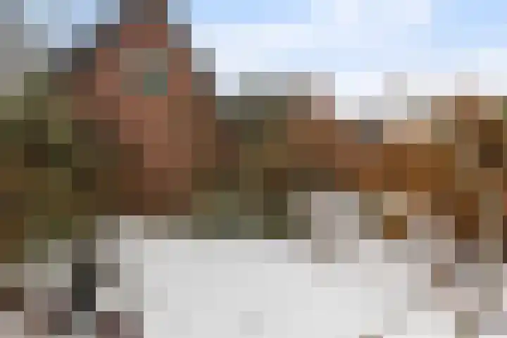 Wulpenlaan 38 Apeldoorn thumbnail 37