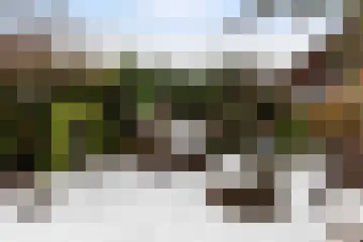 Wulpenlaan 38 Apeldoorn thumbnail 41