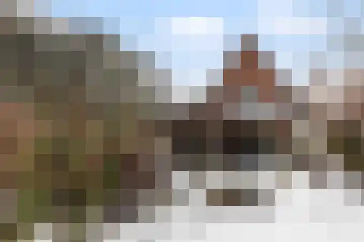Wulpenlaan 38 Apeldoorn thumbnail 43