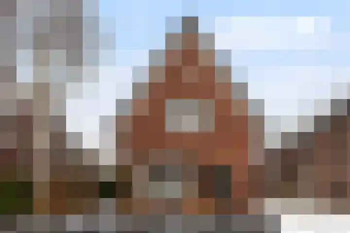 Wulpenlaan 38 Apeldoorn thumbnail 45
