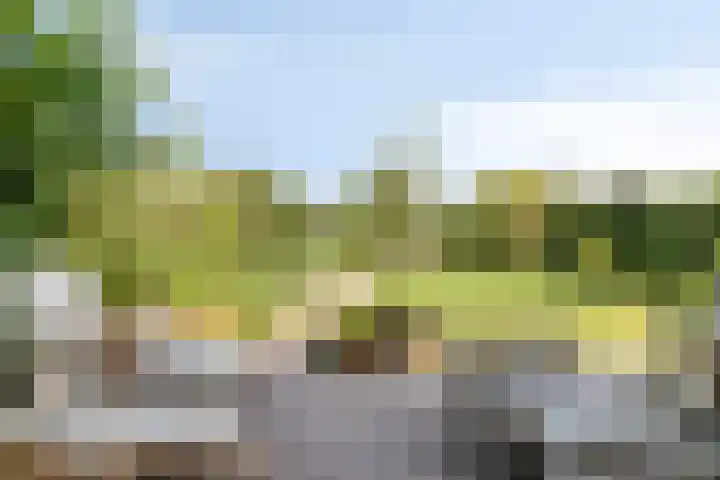 Wulpenlande 46 Pijnacker thumbnail 49