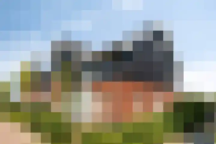 Wulpenlande 46 Pijnacker thumbnail 62