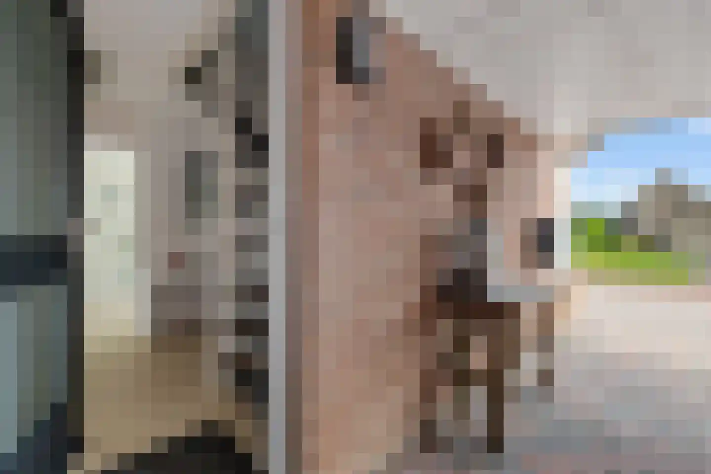 Wulpenweg 8 Havelte thumbnail 13
