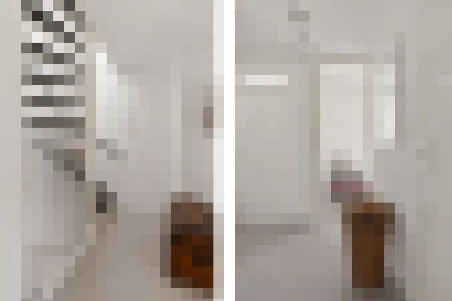 Wulpenweg 8 Havelte thumbnail 28