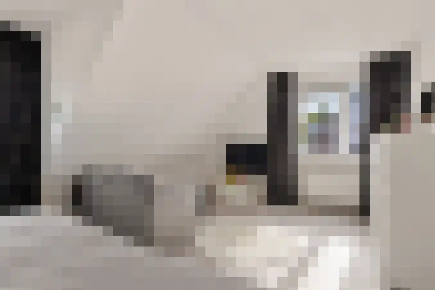 Wulpenweg 8 Havelte thumbnail 34