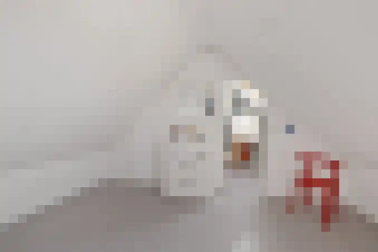 Wulpenweg 8 Havelte thumbnail 37