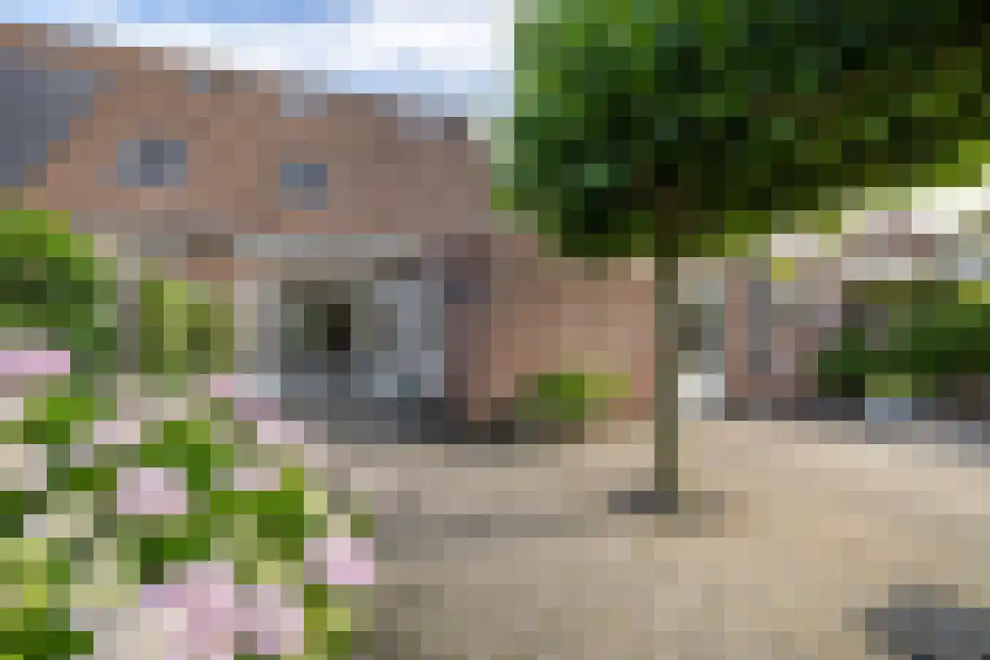 Wulpenweg 8 Havelte thumbnail 43