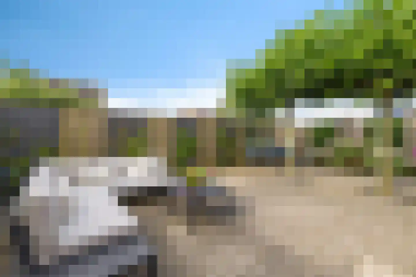 Wulpenweg 8 Havelte thumbnail 5