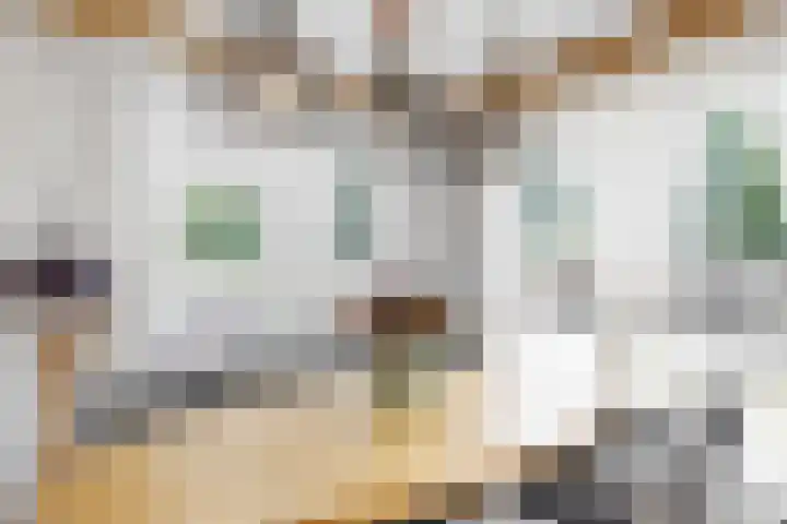 Wulphoek 32 Spijkenisse thumbnail 13