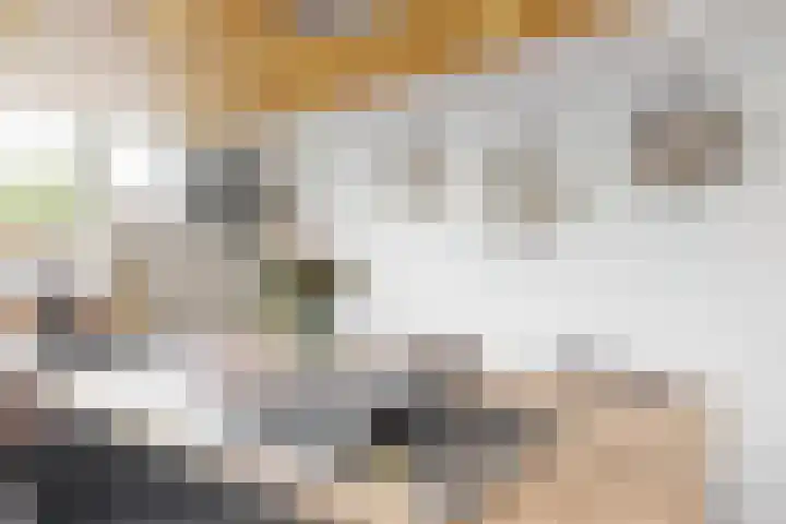 Wulphoek 32 Spijkenisse thumbnail 19
