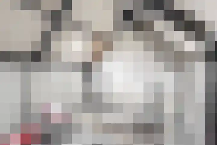 Wulphoek 32 Spijkenisse thumbnail 37