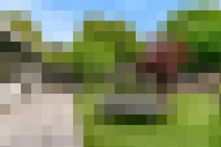 Wulphoek 32 Spijkenisse thumbnail 47