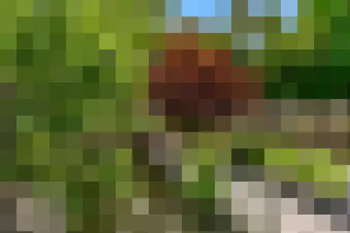 Wulphoek 32 Spijkenisse thumbnail 48