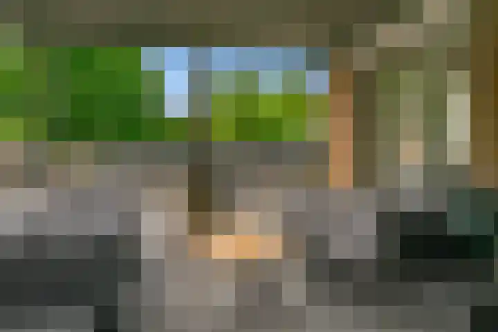 Wulphoek 32 Spijkenisse thumbnail 51