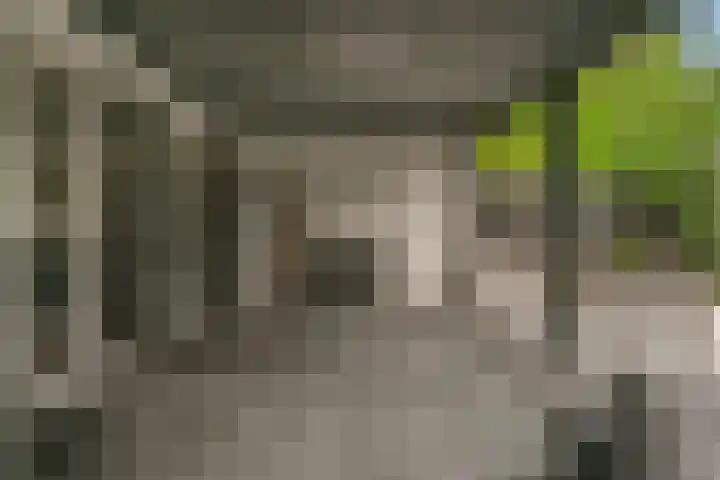 Wulphoek 32 Spijkenisse thumbnail 52