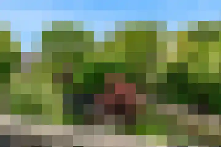 Wulphoek 32 Spijkenisse thumbnail 53