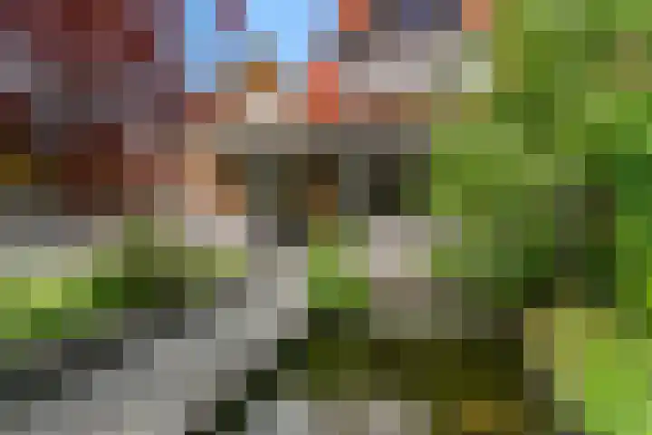 Wulphoek 32 Spijkenisse thumbnail 55