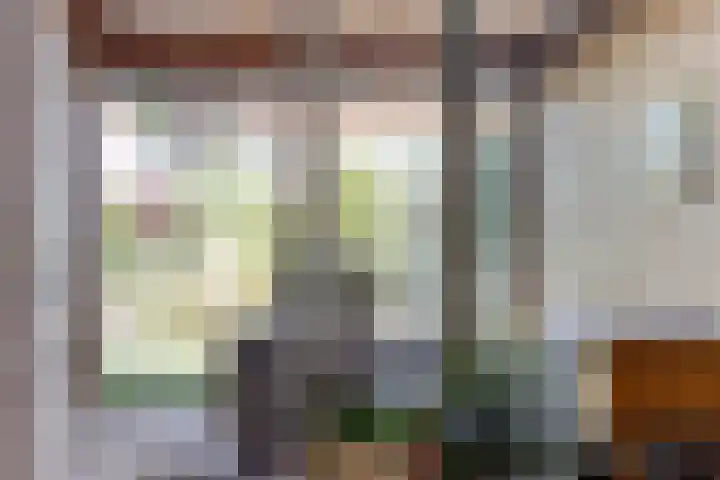 Wulphof 11 Zwolle thumbnail 12