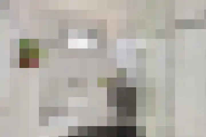 Wulphof 11 Zwolle thumbnail 19