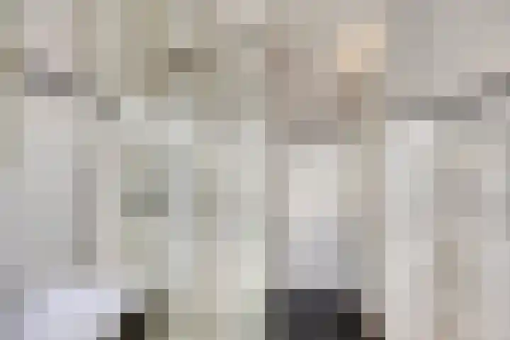 Wulphof 11 Zwolle thumbnail 20