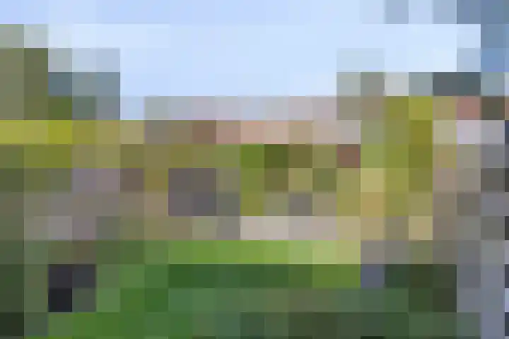 Wulphof 11 Zwolle thumbnail 23