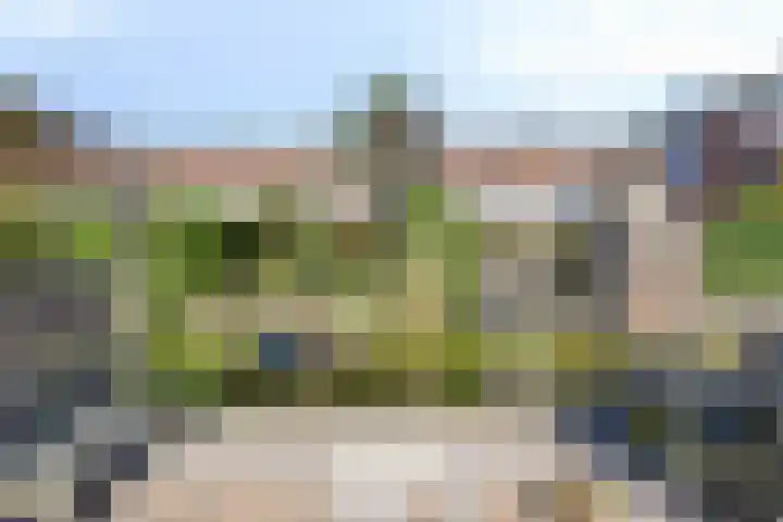 Wulphof 11 Zwolle thumbnail 24