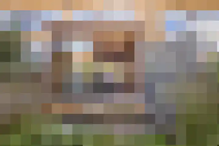 Wulphof 11 Zwolle thumbnail 25