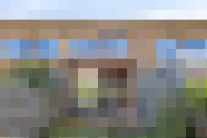 Wulphof 11 Zwolle thumbnail 26
