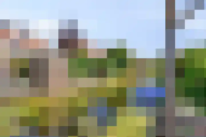 Wulphof 11 Zwolle thumbnail 28
