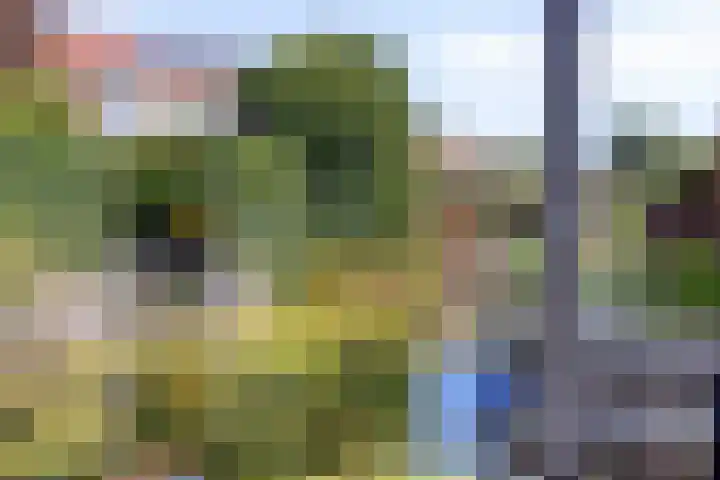 Wulphof 11 Zwolle thumbnail 29