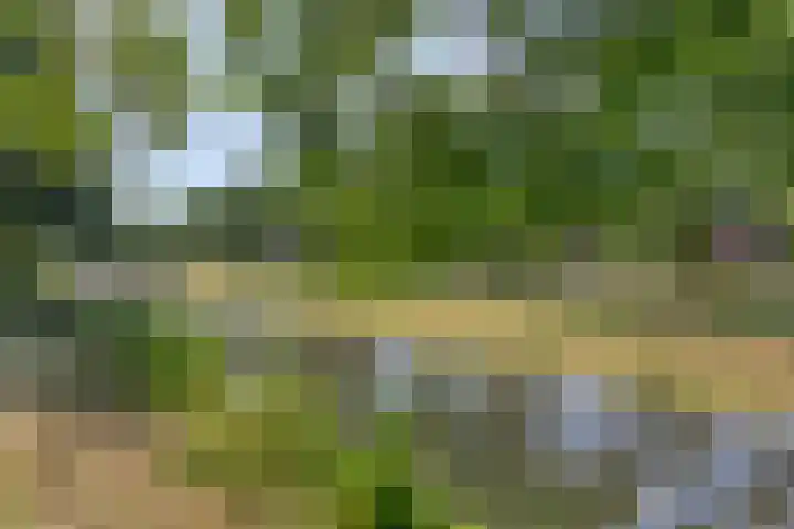 Wulphof 11 Zwolle thumbnail 30