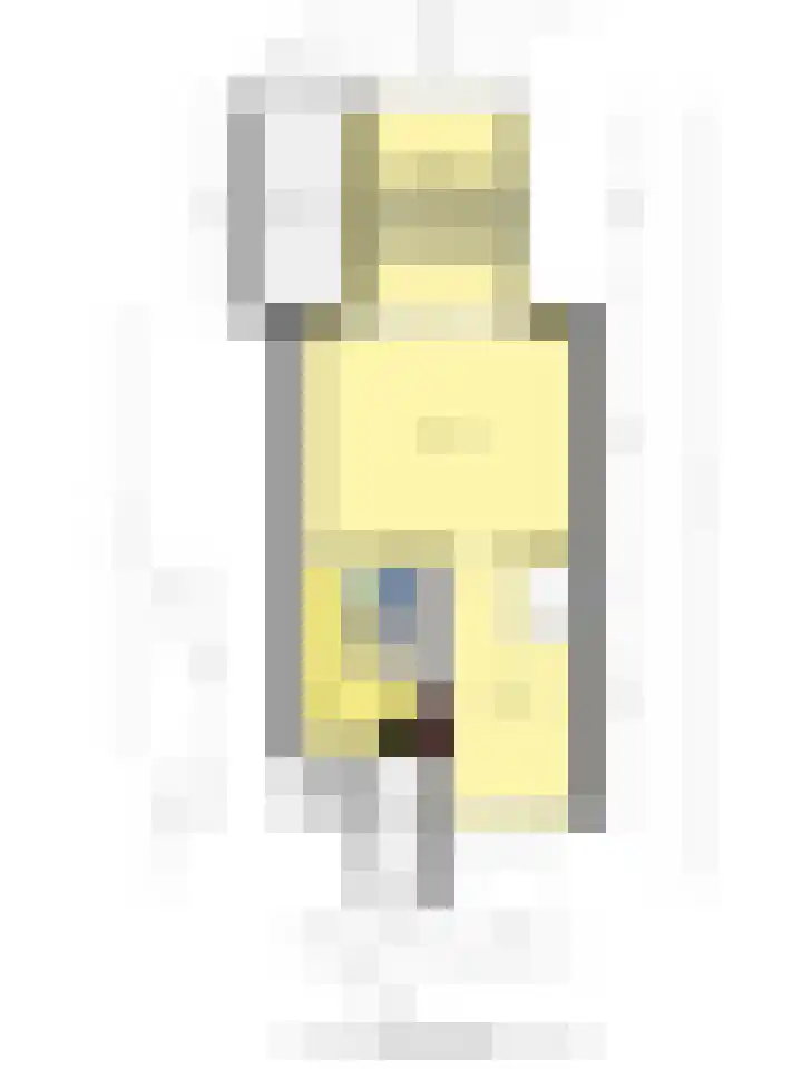 Wulphof 11 Zwolle thumbnail 36