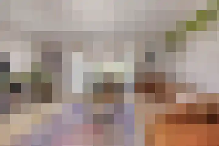 Wulphof 11 Zwolle thumbnail 7