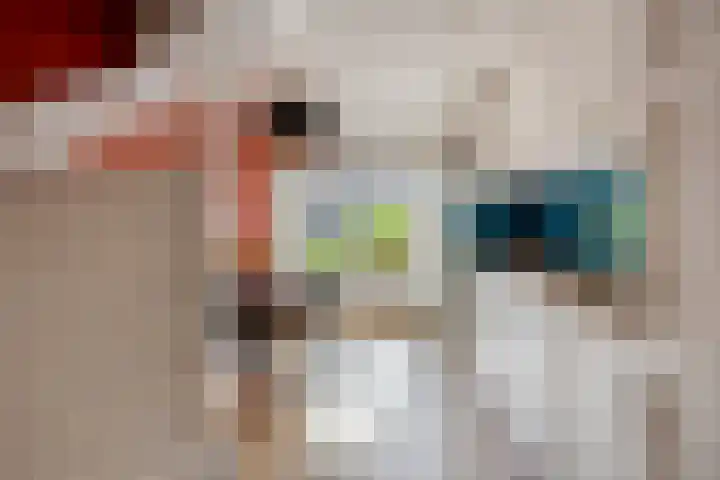 Wulphof 11 Zwolle thumbnail 9