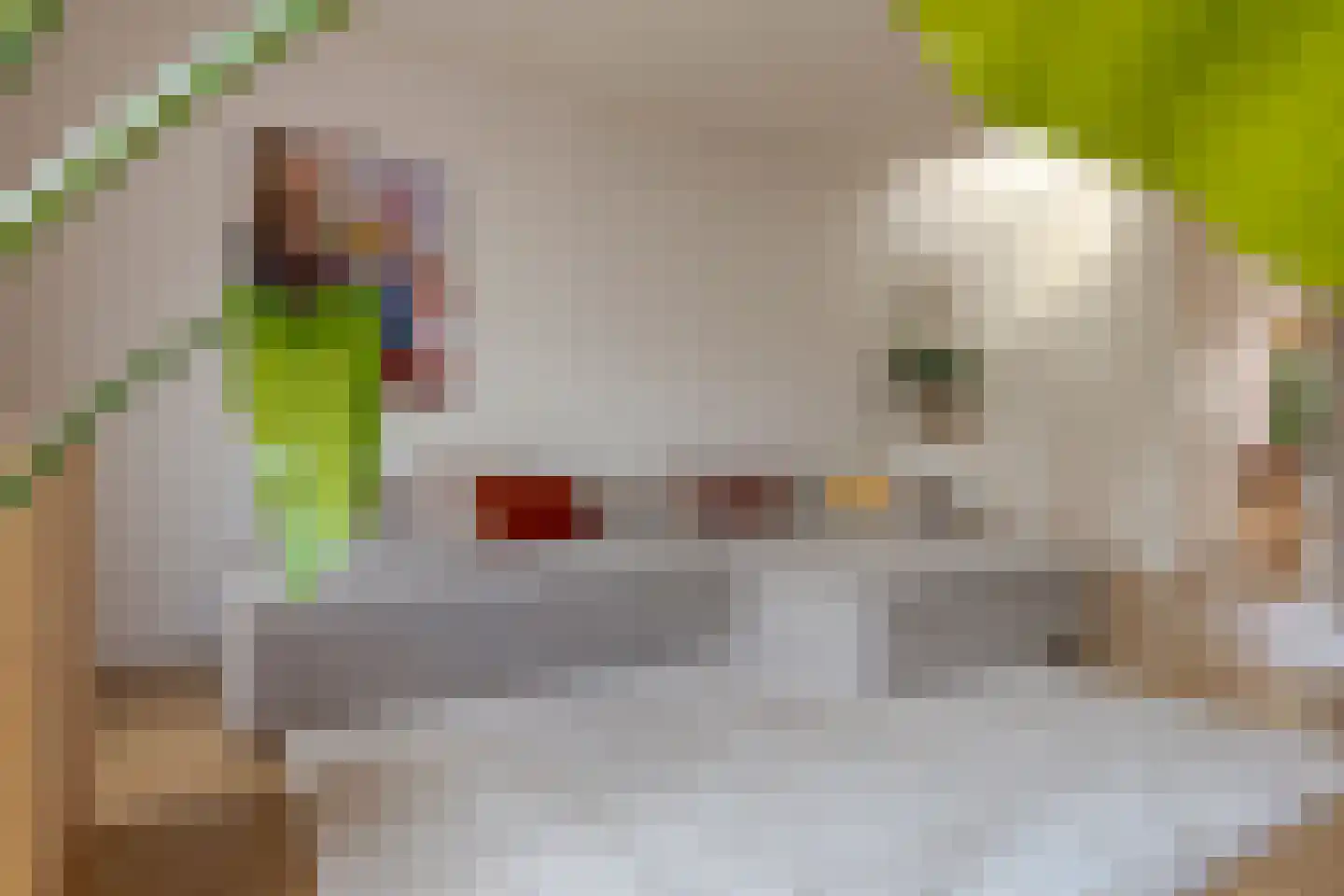 Wulphof 19 Zwolle thumbnail 17