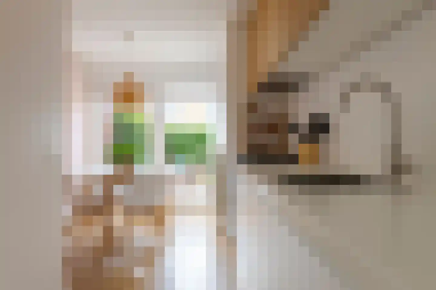 Wulphof 19 Zwolle thumbnail 21