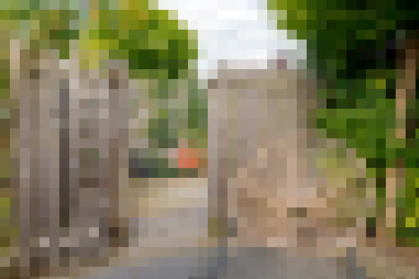 Wulphof 19 Zwolle thumbnail 34